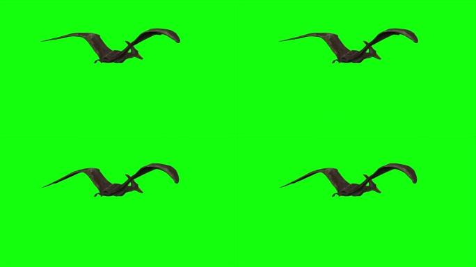 绿屏翼龙飞行的4k 3d动画