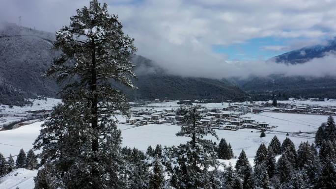 雪中 鲁朗小镇 自驾游318