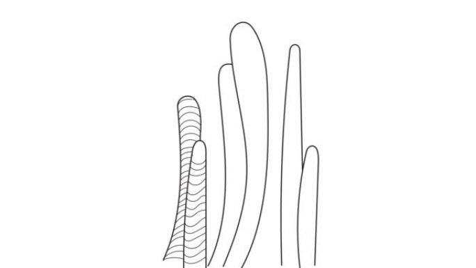 线艺术风格的仙人掌动画。手工绘制风格的民族部落仙人掌，带有波西米亚装饰，用于包装纸