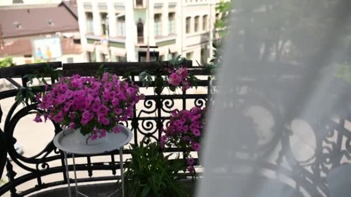 复古阳台上的美丽花朵，带薄纱和城市景观