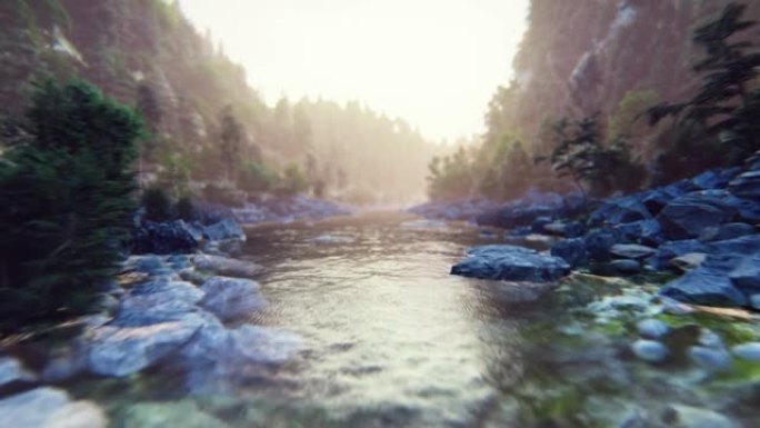 薄雾山脉黎明时的一条河。森林悬崖和树木覆盖的山脉。河流景观。山河的概念。动画是旅游、自然背景的理想选