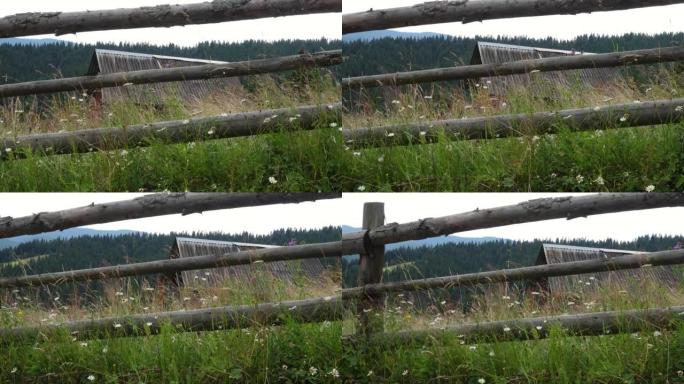 乌克兰喀尔巴阡山脉森林附近的小山屋