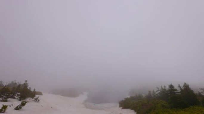 雾中的八幡台山顶附近的风景，八幡沼