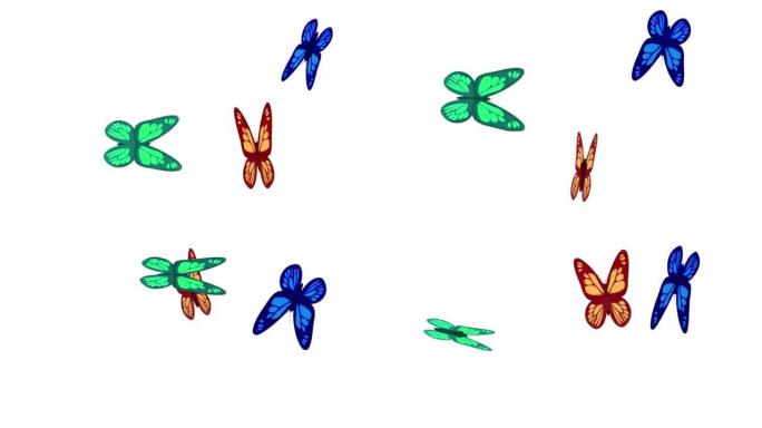 蝴蝶。美丽的蝴蝶昆虫动画。卡通