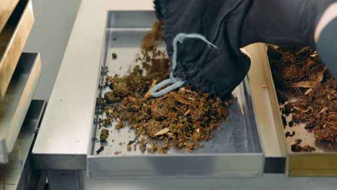 实验室技术人员将土壤分类到特殊的容器中进行研究。实验室中的土壤研究