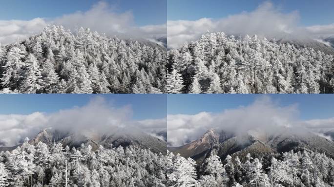 梅里雪山雪后高山雾凇