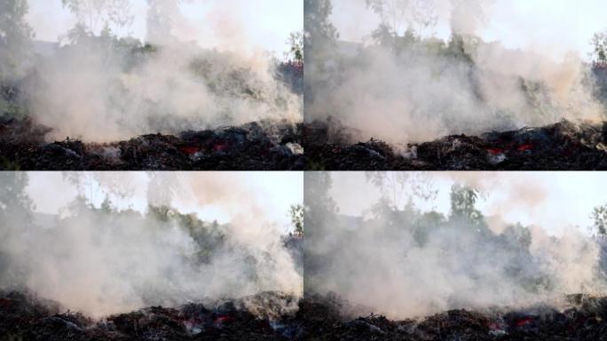 农业废弃物的树枝和树叶燃烧产生的烟雾，上升到大气中的烟雾，燃烧产生的颗粒物，pm2.5粉尘，空气质量