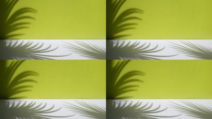 带有热带棕榈叶阴影的最小抽象背景。化妆品的展示。粉彩浅绿色墙壁和白色桌子上的高级讲台。陈列柜，展示柜