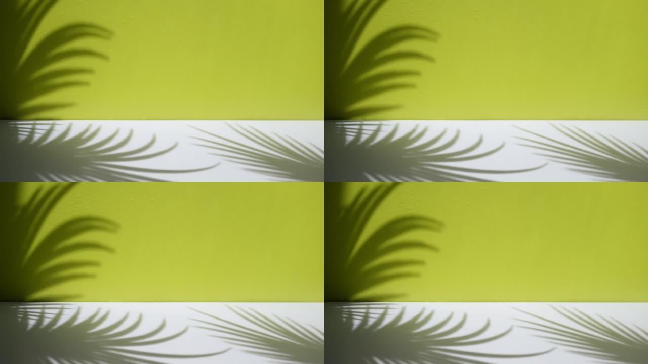 带有热带棕榈叶阴影的最小抽象背景。化妆品的展示。粉彩浅绿色墙壁和白色桌子上的高级讲台。陈列柜，展示柜