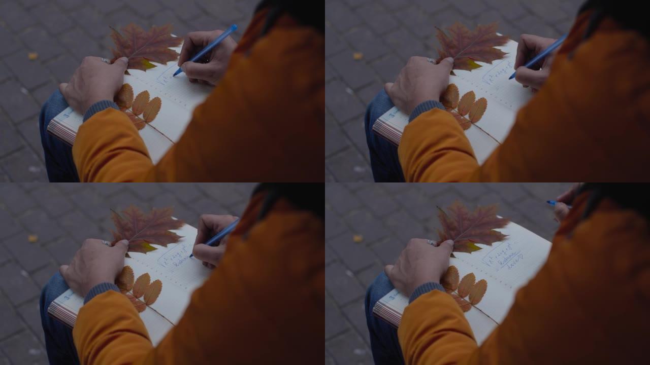 坐在秋天公园长凳上的女人的双手。她用钢笔写公式，用黄色橡树叶作为书签，关闭笔记本。-9月
