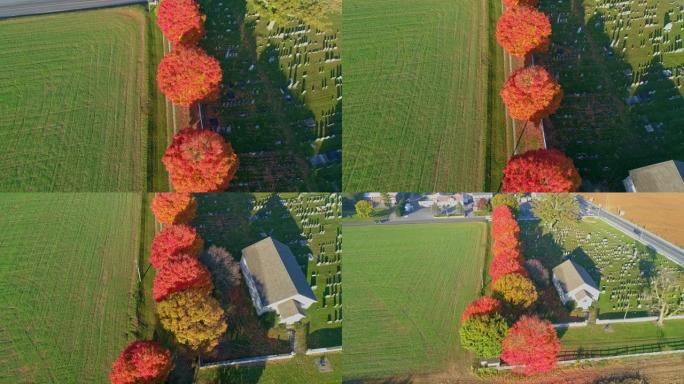 无人机可以看到一排秋天的树木，带有明亮的橙色和红色的叶子