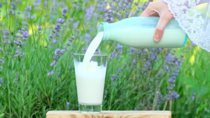 牛奶从瓶子里倒入户外的玻璃中。健康饮食的概念，有机食品和饮料的天然产物，健康的生活方式。鲜牛奶倒入玻