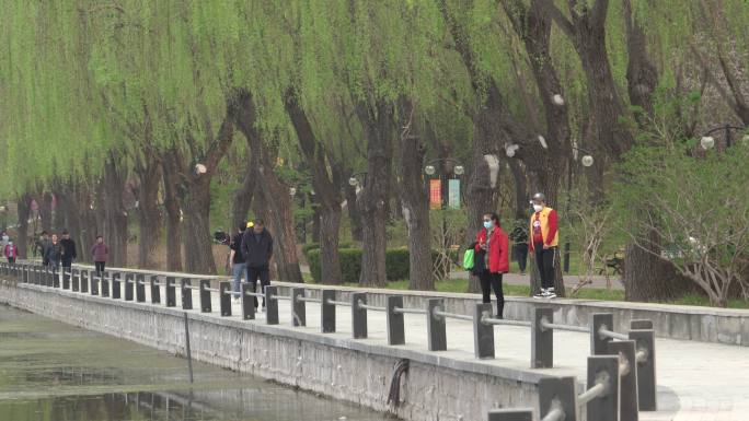 春光明媚杨柳依依人们在沿河公园休闲散步
