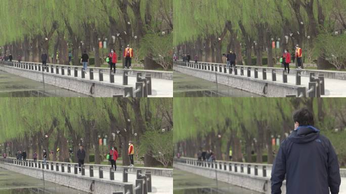 春光明媚杨柳依依人们在沿河公园休闲散步
