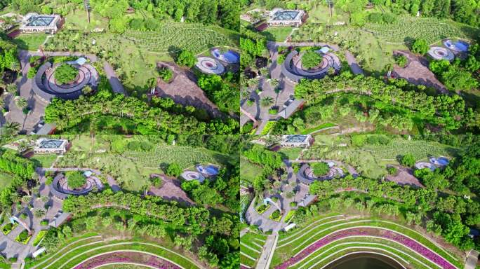 绿树成荫湖边公园航拍