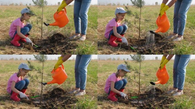小女孩和奶奶一起种树