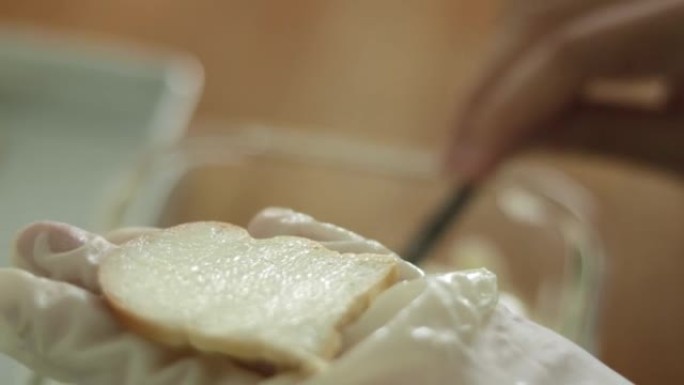 CU-特写女人用手将黄油涂在一小块面包上制成饼干。社交媒体食品趋势，自制饼干。