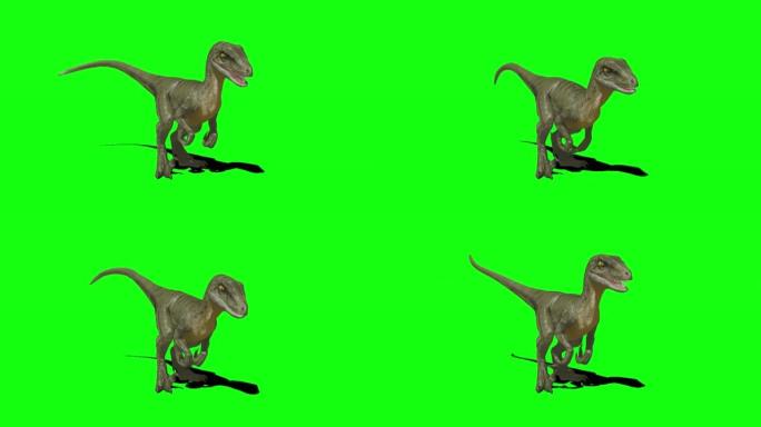 绿色屏幕上的恐龙