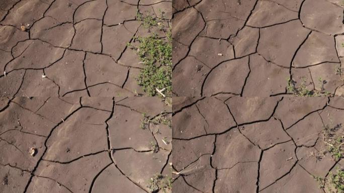 棕色干旱旱地土壤，开裂的地面纹理农业贫瘠，变暖