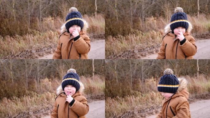 可爱的小男孩3-4岁，穿着棕色夹克和针织蓝色帽子，走在公园的树下。看着相机。冬季。童年。秋天的森林。