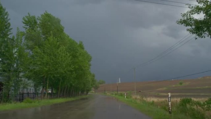 在雨中开车树木雨天