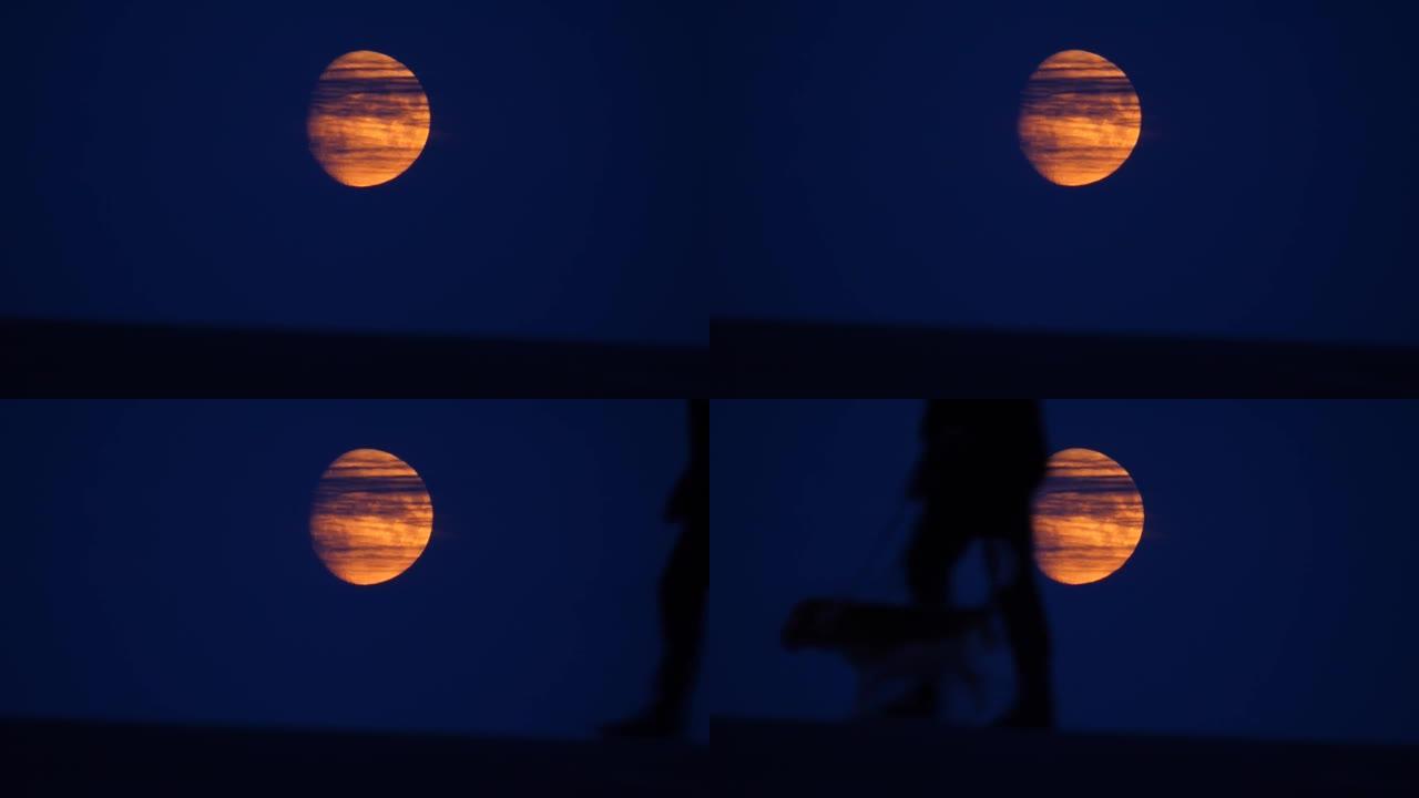 月亮圆盘的戏剧性视图，狗走路的人的腿模糊