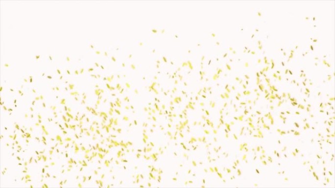 金色彩纸爆炸动画。庆祝和节日概念