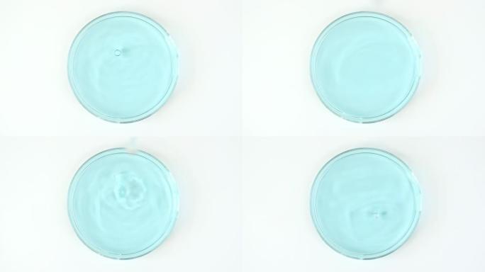 透明的蓝色化妆品液体滴在玻璃碗中的Petri。宏丸血清、乳膏、透明质酸。有机化妆品，药品。慢动作