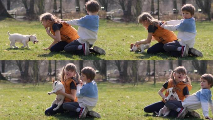 快乐的兄妹孩子们在公园草地上摔倒在一起，而男孩和女孩玩得开心，和小宠物狗一起玩