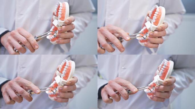 男性手中一组牙齿的牙齿模型。丙烯酸全口义齿张开，手将牙科工具应用于其中一颗牙齿。特写。