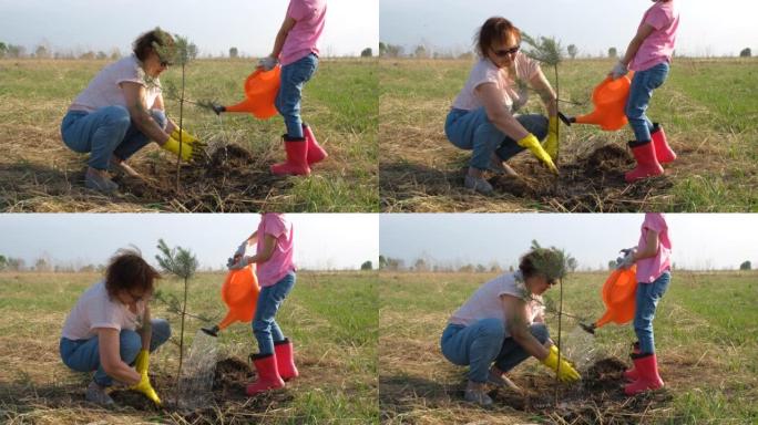 女孩和奶奶一起给刚种的树浇水