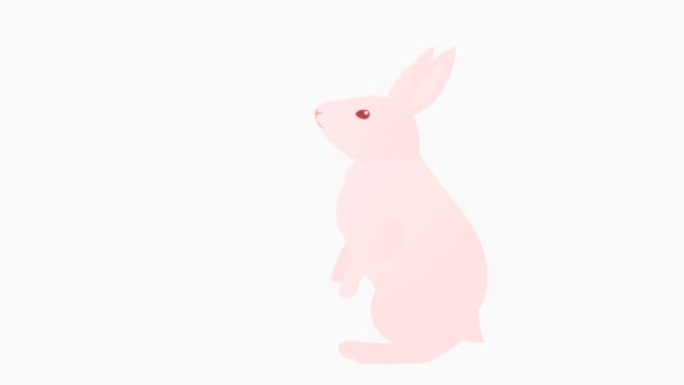 一只简单的兔子机警地跑来跑去的循环动画。