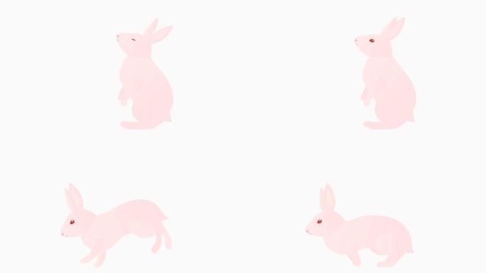 一只简单的兔子机警地跑来跑去的循环动画。