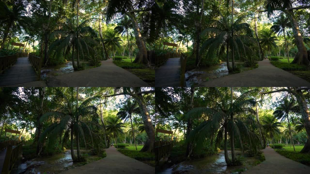 牙买加|奥乔里奥斯海岸|邓恩河瀑布公园|宁静花园。