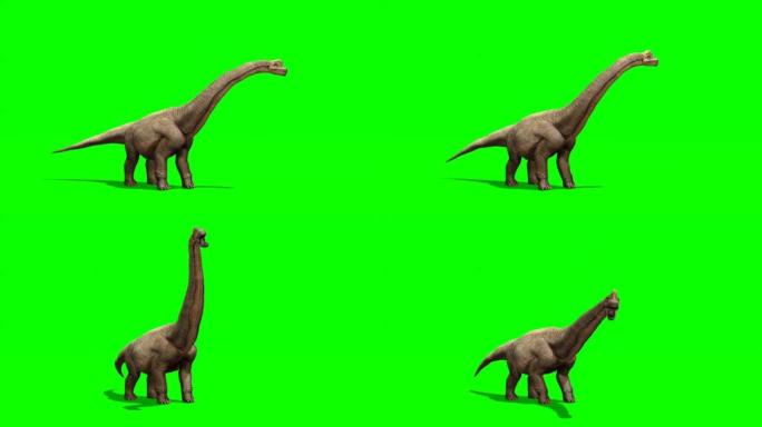 雷龙恐龙在绿色屏幕上寻找