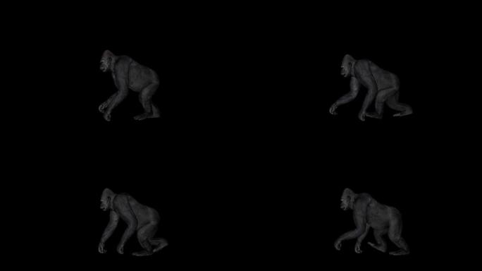 大猩猩步行侧视图