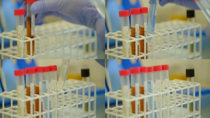 科学家在实验室测试解决方案