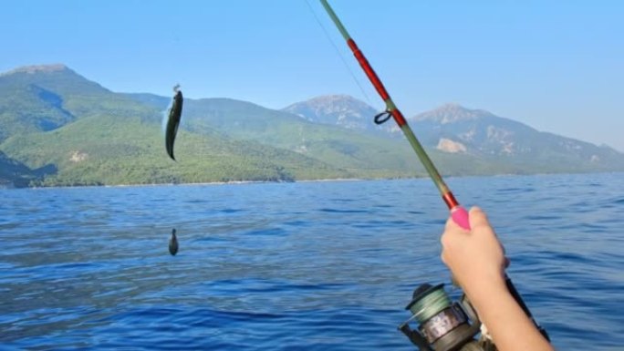 钓鱼是一种爱好第一视角钓鱼佬垂钓