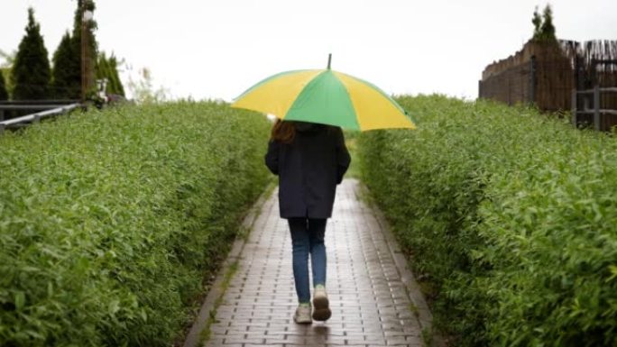 小女孩撑着伞在春天的雨天沿着绿色的灌木丛走
