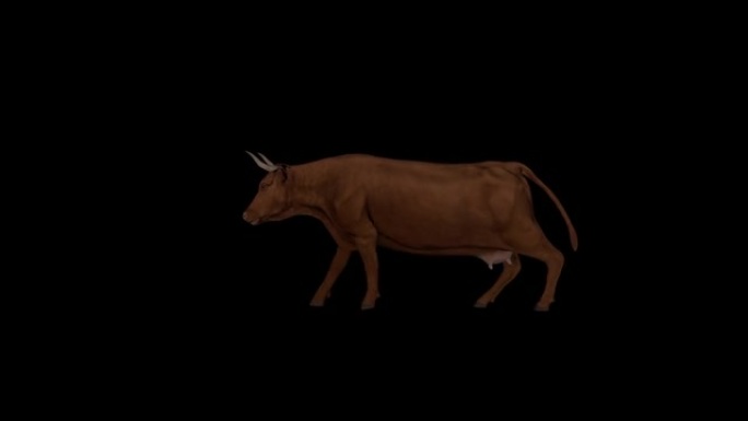 棕色牛跑侧视图