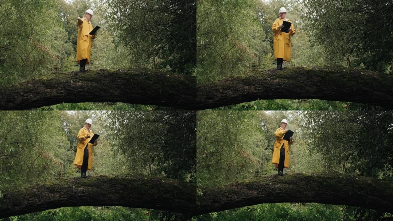 头戴头盔的生态学家站在倒下的树上，向工人展示如何砍伐它。
