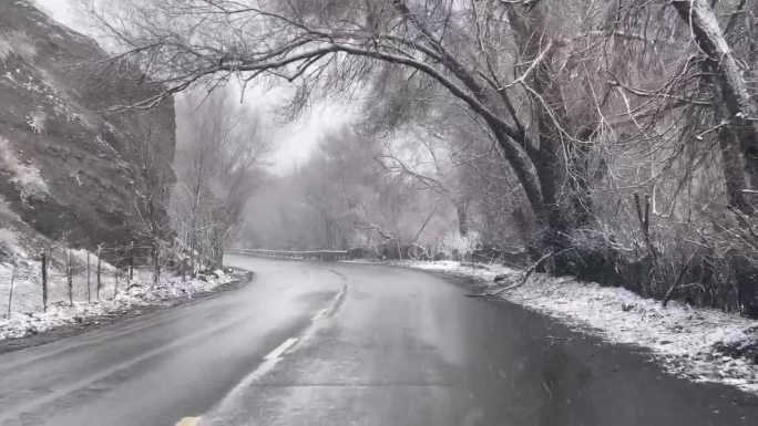 雪花飘飘