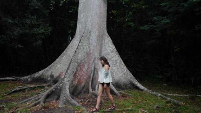 站在热带雨林大树下的女人