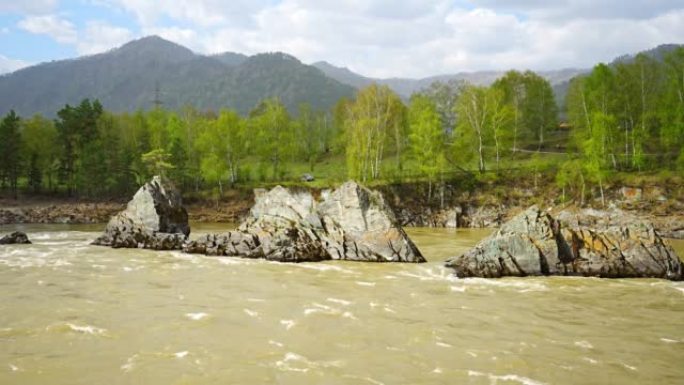 显著的自然物体-龙齿-在阿尔泰山脉的卡顿河，背景是美丽的针叶林地区，西伯利亚，俄罗斯