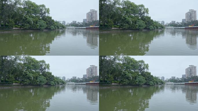 春雨后广州天河公园湖水与树木的倒影。