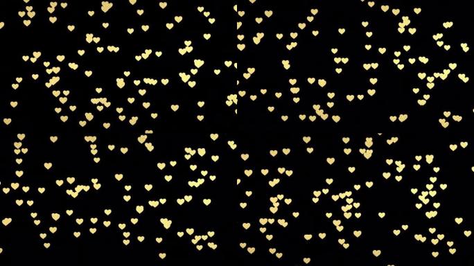 黑色背景下新兴的金色心脏。3D动画。情人节和婚礼的视频效果。绿屏。