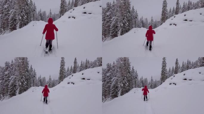 在高山冬季森林中，单身女子雪鞋行走