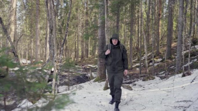 一名男性旅行者背着背包穿过一片松树林，在春天的一片森林里走过雪地。慢动作