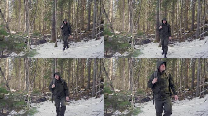 一名男性旅行者背着背包穿过一片松树林，在春天的一片森林里走过雪地。慢动作