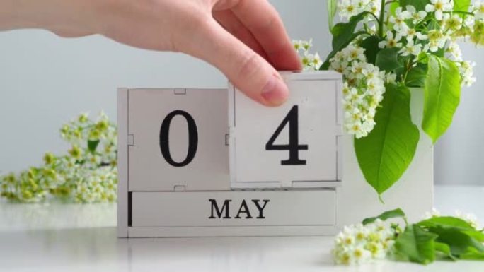 春季5月4日女人的手翻过一个立方历法。樱花盛开的桌子上的白色万年历。在一个月内更改日期。假日日。日历